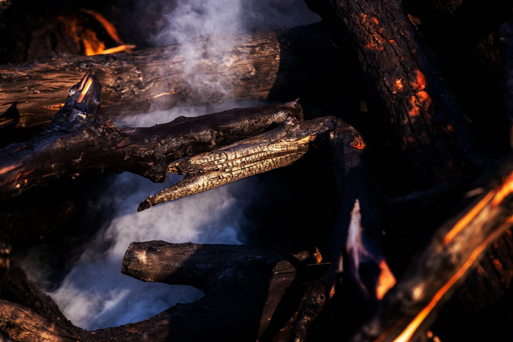 tree fire